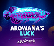 Arowana`s Luck