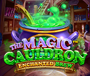 The Magic Cauldron - Enchanted Brew